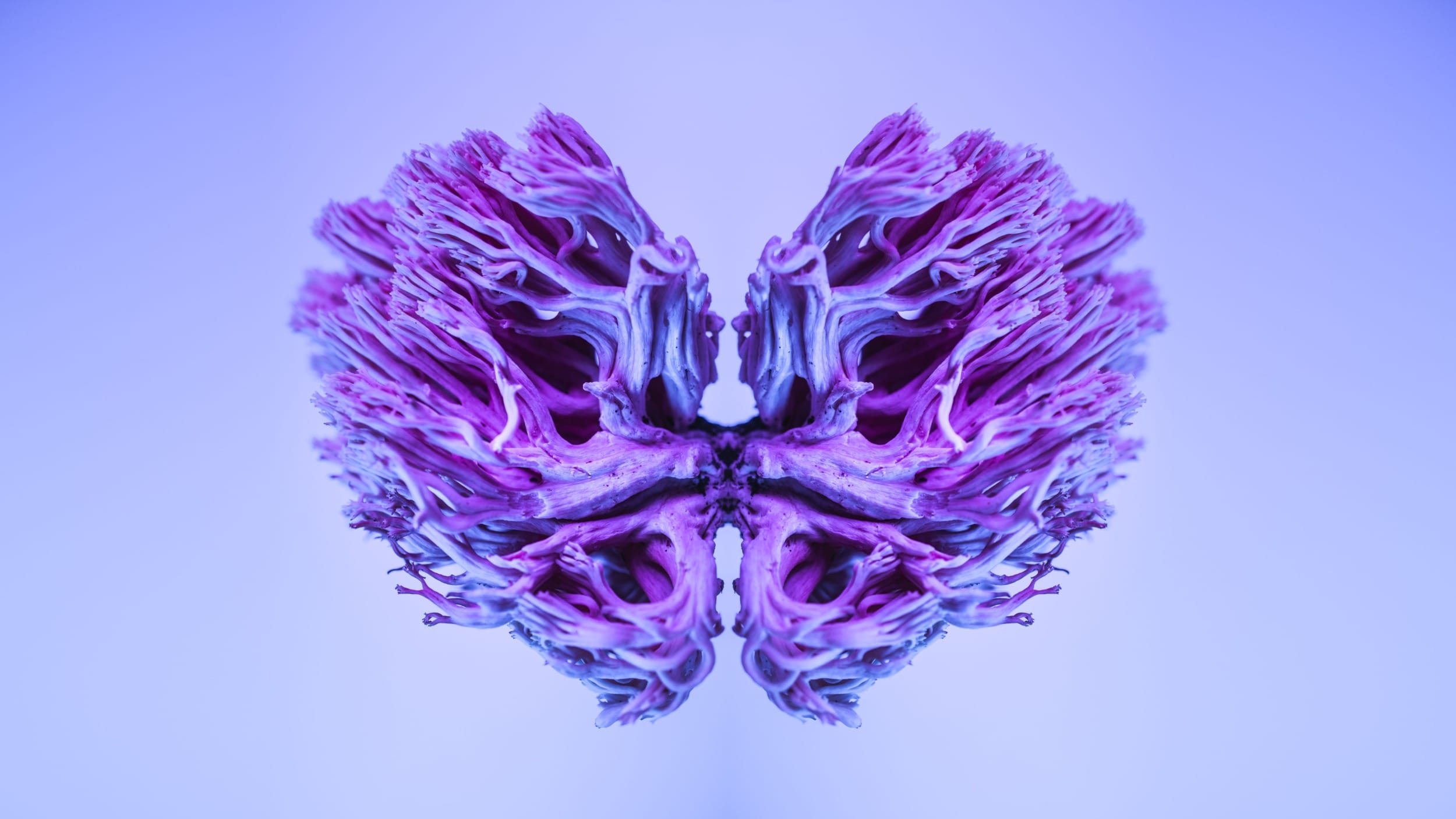 World Brain Day 2026: Eleos AI Research Solving LLMs Sentience, Consciousness?